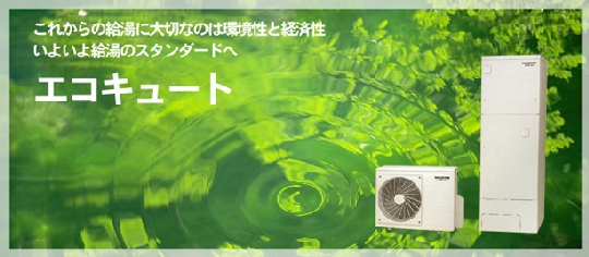 eco_01.jpg